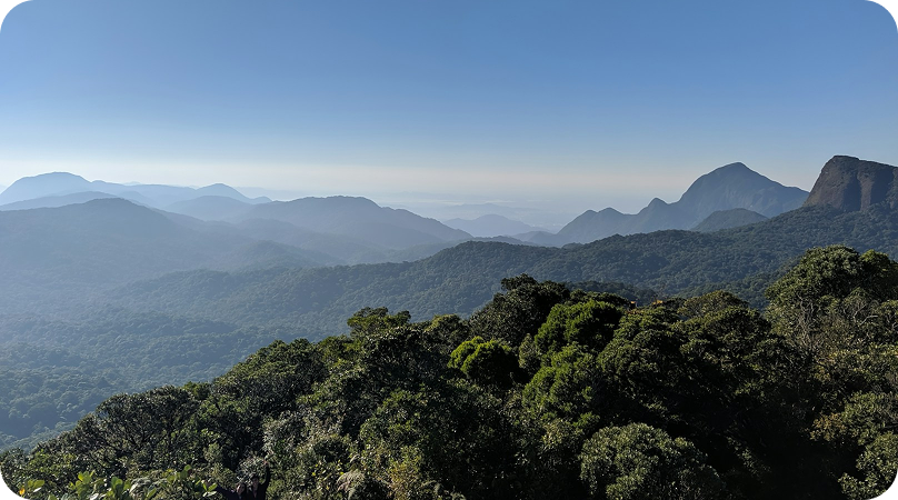 O que é a Mata Atlântica?