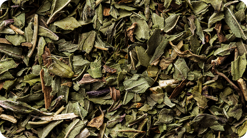 Erva-mate, a bebida preferida do Pampa