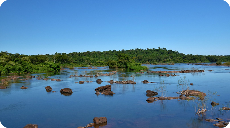 O que é o Pantanal?